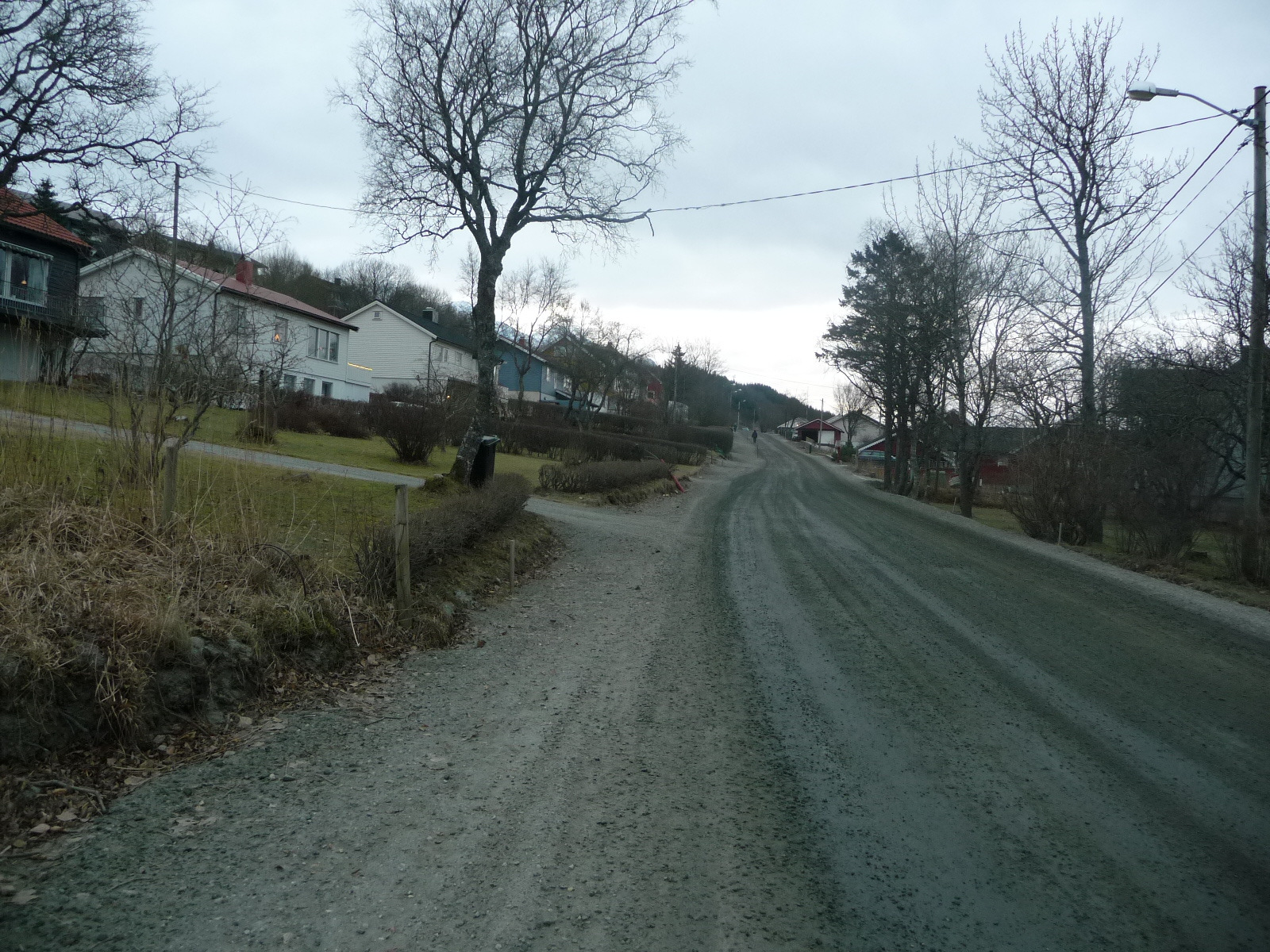 1 Innledende del 1.1 Formål Planarbeidet har som formål å tilrettelegge for asfaltering samt anlegging fortau langs deler av Botnveien.