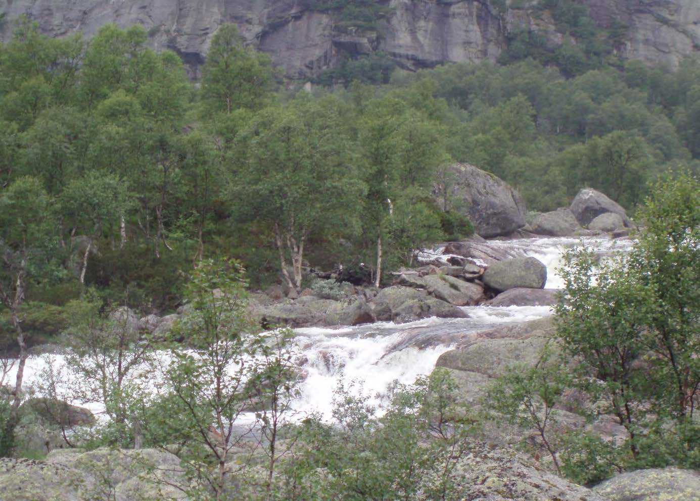 Vassvegen Frå inntaket i Langevassåni vert vatnet ført inn i ei 1360 meter lang nedgravd røyrgate.