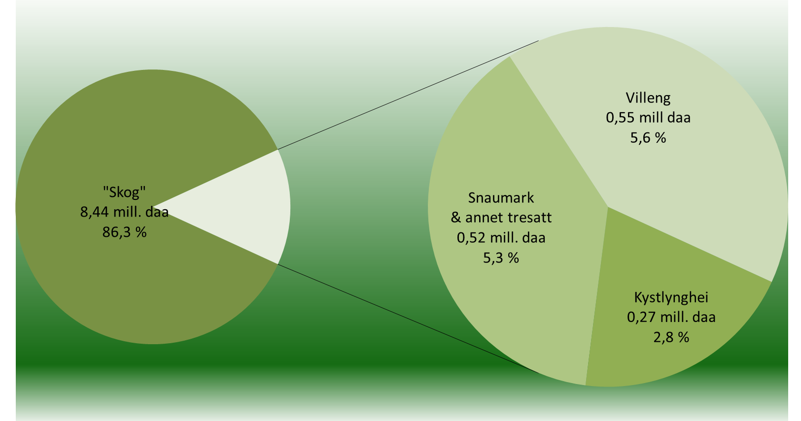 Arealomfang i bruttolista 14 % av bruttoarealet vil representere nytt skogareal ved tilplanting Resten er skogarealer som i dag har underoptimal produksjon og mindreverdig virke