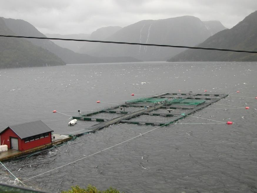 Diettforsøk med høstsmolt 9000 vaksinerte tidlige høstsmolt fra kommersielt anlegg.