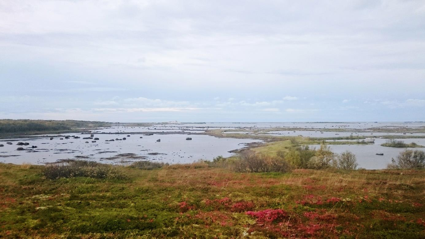 Risøyvatnet ikke hekking I 2016 ble området besøkt 22. og 23. mai, 27. juni og 16. juli. Lyd ble spilt av alle gangene. Store deler av Risøysundet naturreservat ble undersøkt den 27. juni. Ingen av besøkene resulterte i observasjoner av svarthalespove.