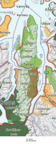 Side 24 av 57 Kartleggingen konkluderer med at Lyngsalpan er et av de mest verdifulle beiteområdene i Norge. Sauene beiter i lavlandet fra de slippes ut i mai.