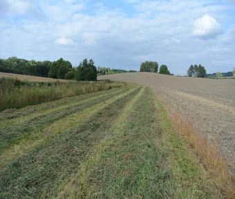 Relaterte tiltak Grasdekt vannvei: