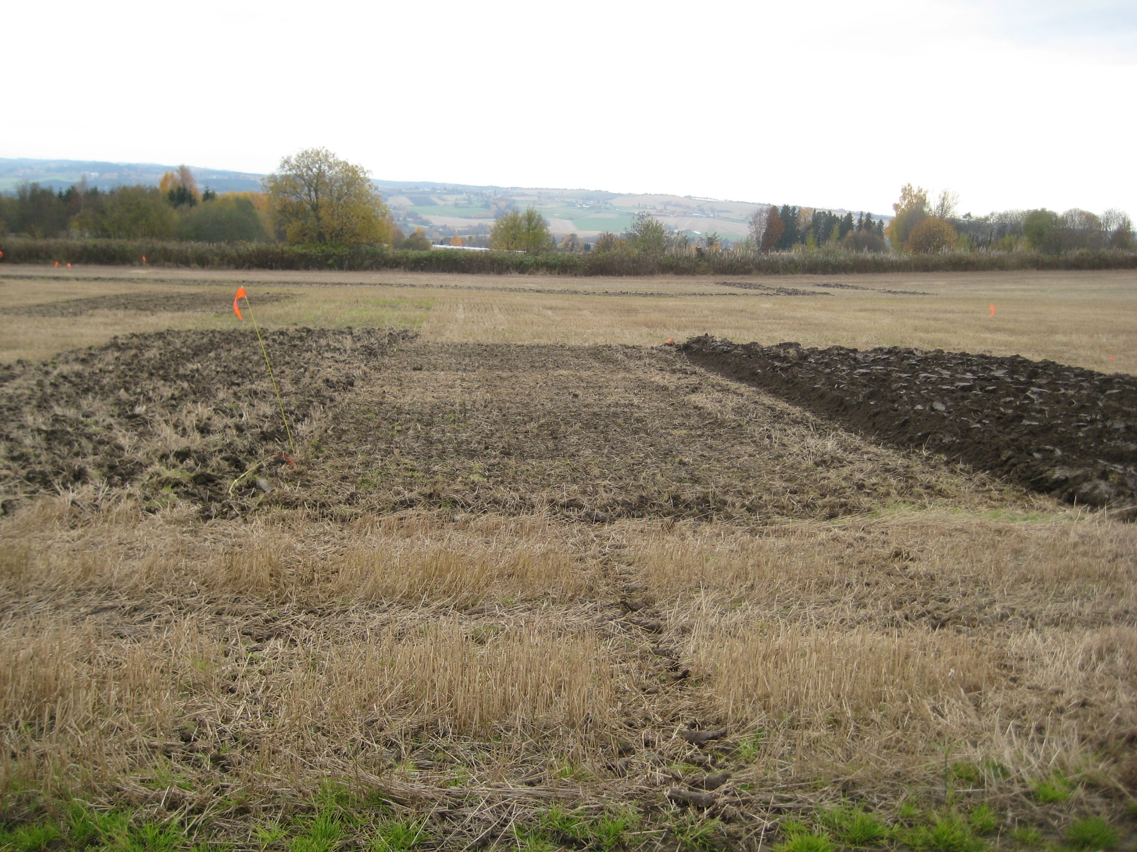 Foto: Till Seehusen Plantesjukdommer og mykotoksiner ved ulik