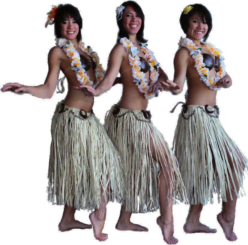 Echo Hawaii 2013 American Society of Echocardiography sitt populære ultralydkurs lever i beste velgående. Også i år ble kurset avholdt på Hapuna Beach, Big Island, Hawaii, i overgangen januar/februar.