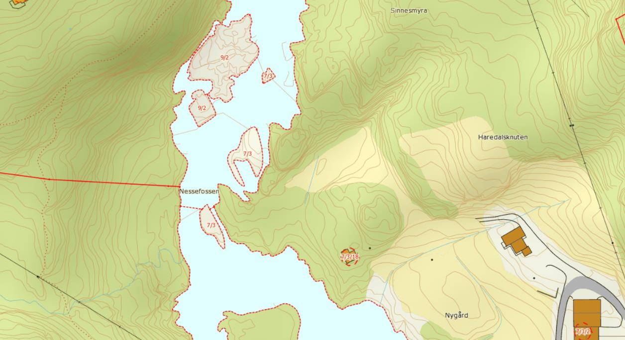 5.15. Nessefossen Figur: Kartet viser oversikt over tiltaksområdet i Nessefossen. Figur: Bildet viser vegetasjon i elveløpet ved Nessefossen.
