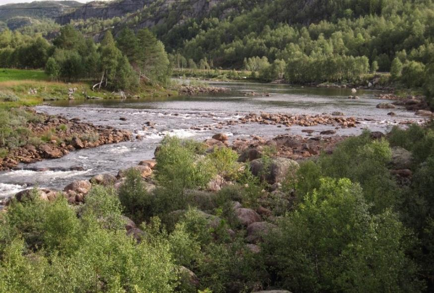 Vurdering av området Tiltaksområdet ligger i forbindelse med terskelen i utløpet av Fidjelandsvatnet.