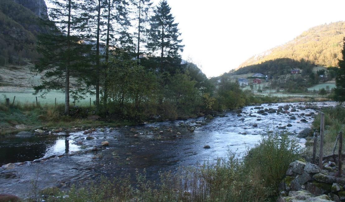 Foreløpig er behovet for tiltak