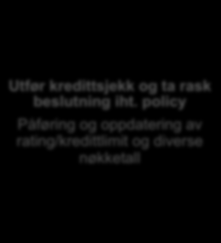 rapporteringsmuligheter