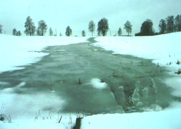 Vinterepisode (Øygarden, 2000)
