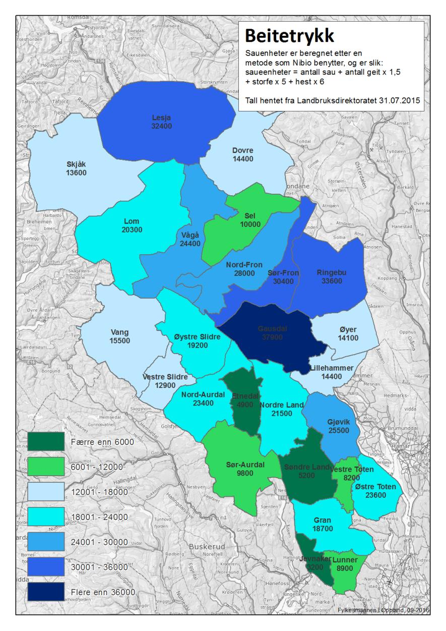 Beitetrykk i Valdres: 1. Nord-Aurdal: 23 400 sauenheter 2. Øystre Slidre: 19 200 saueenheter 3. Vang: 15 500 saueenheter 4. Vestre Slidre: 12 900 saueenheter 5. Sør-Aurdal: 9 800 saueenheter 6.