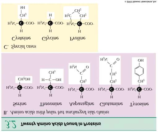 table 03-02bc.jpg Table 3.