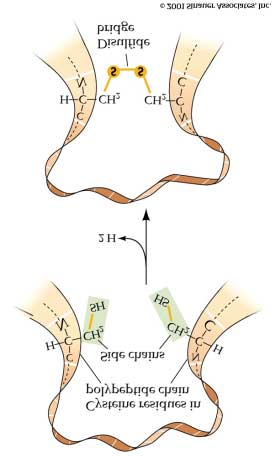 figure 03-03.