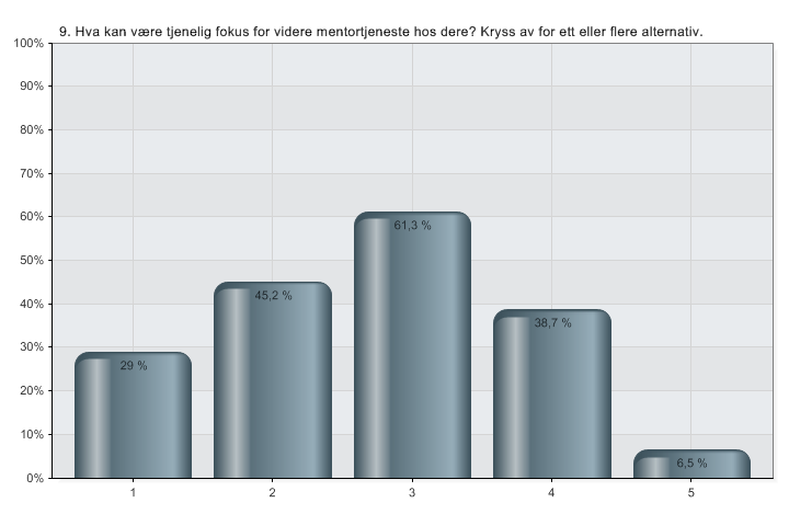 Fokus for videre mentortjeneste?