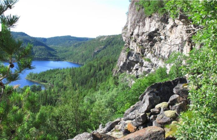 Erikskulen naturreservat, Namdalseid kommune Erikskulen er et ganske lite område med boreal regnskog og noe edellauvskog.