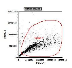 A) Figur 19: Data fra flowcytometri for T98G celler dyrket kontinuerlig i 4 % oksygen i gassfasen. A) Bestrålte T98G celler (1,6 Ci/mol). CV: 7,4 B) Ubestrålte T98G celler. CV : 5,5.