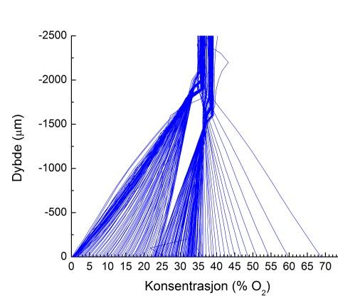 A) Dag 0-4 B) Dag C) Dag 11/3 Figur 23: Figuren viser oksygenprofiler tatt opp for T98G celler bestrålt med 0,53 Ci/mol og dyrket med 3,5% oksygen i gassfasen.