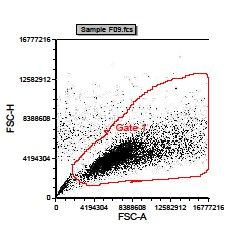 A) Figur 26: Data fra flowcytometri for T98G celler dyrket kontinuerlig i 3,5 % i gassfasen.