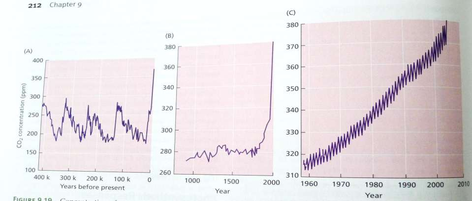 CO2- konsentrasjonen i luft stiger nå ekstremt