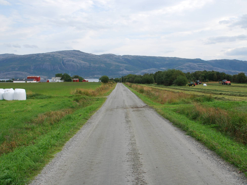 Skal kystlyngheia opprettholdes som naturtype, kreves det et høyt beitetrykk, og dessuten beiting gjennom hele året.