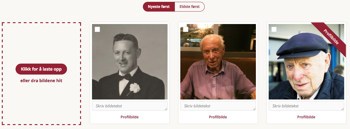 Om personen På denne siden skal man enkelt skal kunne bli litt kjent med personen, som i eksemplet her heter Hermann. På denne siden ser du også bilder fra albumet Profilbilder.