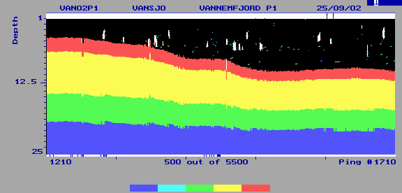 Det vises både enkelt fisk og stimer av fisk.