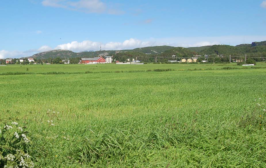 101 Temakart: Landskapsrom i delstrekning 3 Hunstadmoen Thallekrysset. Fig.