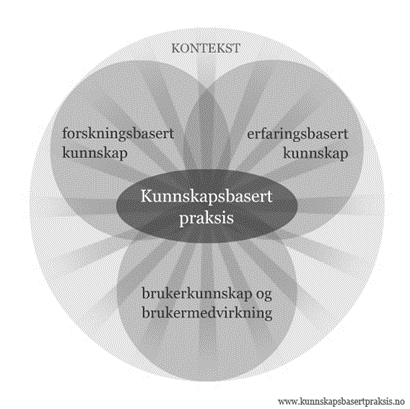 Kunnskapsbasert praksis en modell for kvalitetsutvikling Haug, E.H. & Plant, P. (2016).