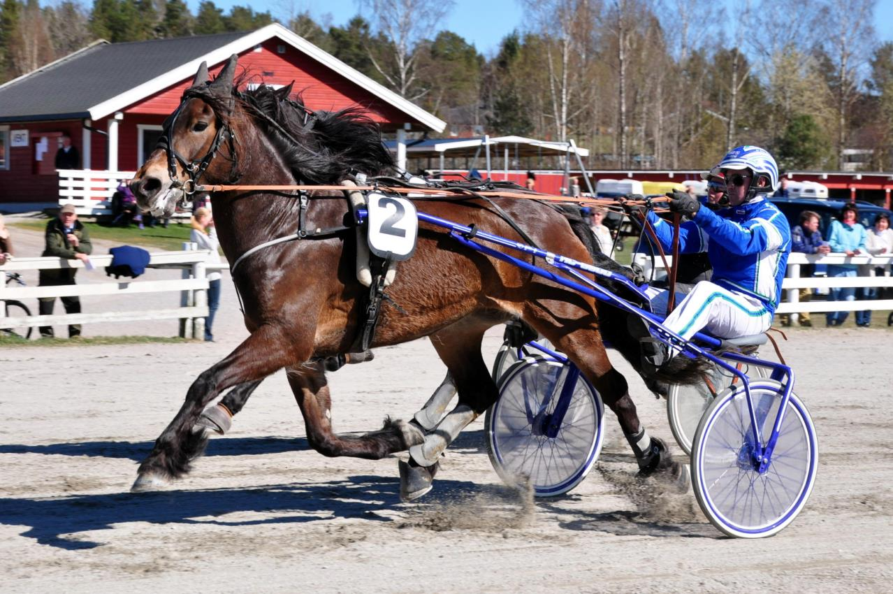 Resultatliste fra lokalkjøring på Kala Travpark Søndag 19. april 2015 Arr.