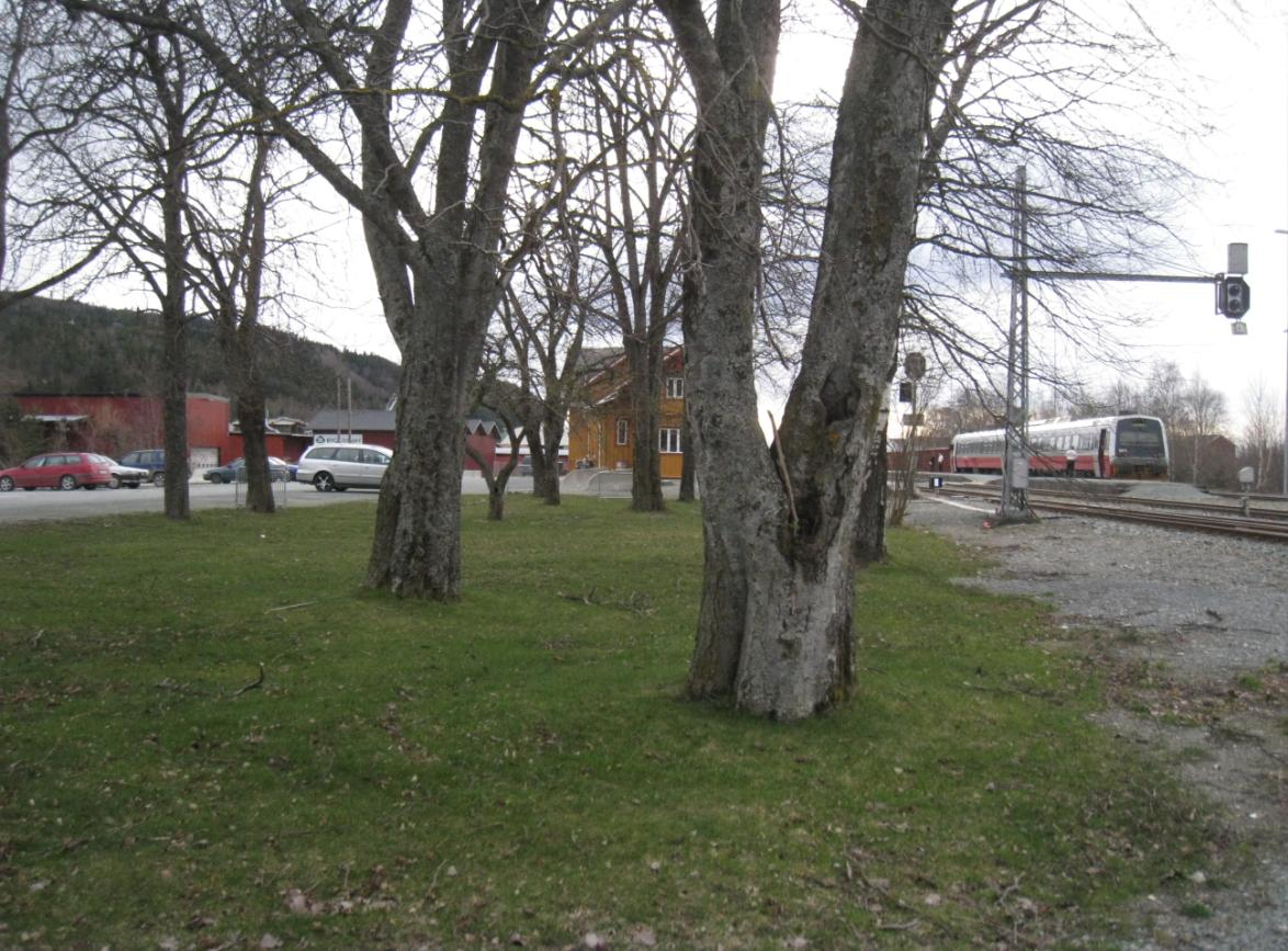 Strandsoneplan for Trondheimsregionen (STFK 2002) angir gammel jernbanetrasé rundt Gevingåsen til tur- og sykkeltrasé for å binde kystsonen sammen. Planen er veiledende og rådgivende for Stjørdal. 3.