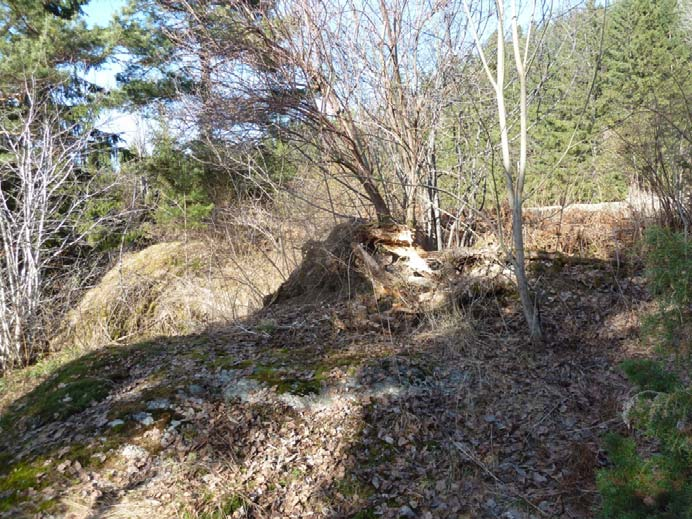 Sikkerhet mot naturpåkjenninger PBL og tilhørende TEK 10 (Byggeteknisk forskrift) stiller krav til