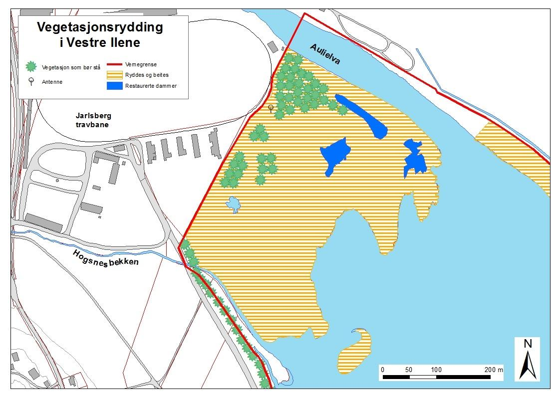 Forvaltningsplan for Ilene naturreservat Del II Figur 18.