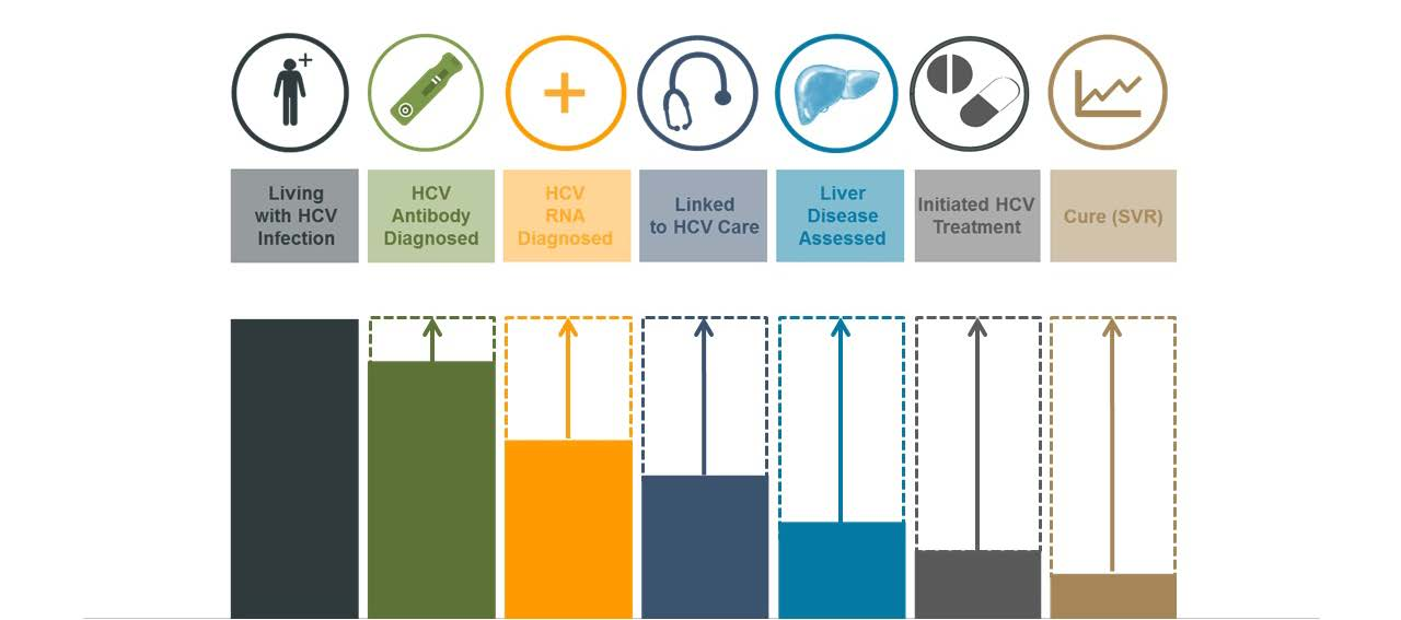 The HCV care cascade Grebely et al.