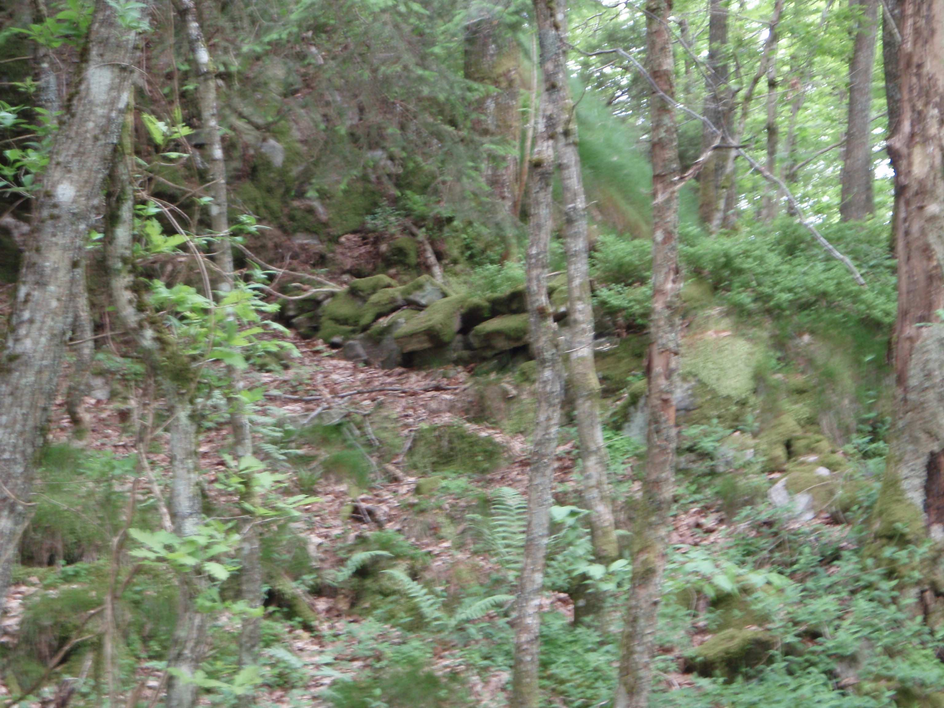Figur 2 Bildet til venstre viser en bit av et steingjerde og bildet til høyre stien/det gamle tråkket med en helle lagt over bekken, bildene er tatt mot