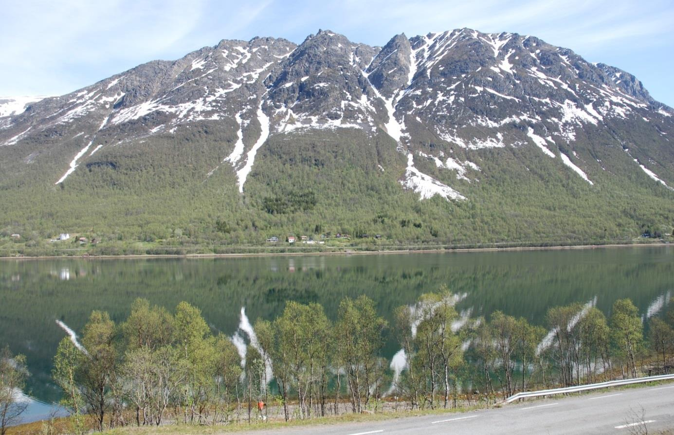 løsneområder for snøskred. Hovedsakelig ligger disse i snøakkumulasjons-områder som daler, skar og bratte fjellsider ovenfor kote 700 (foto. 1).