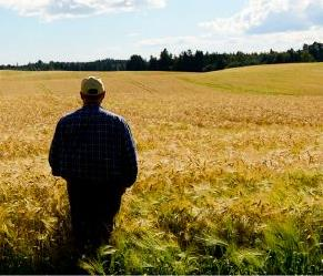 Kanaliseringspolitikken - sentral for landbruk over hele landet