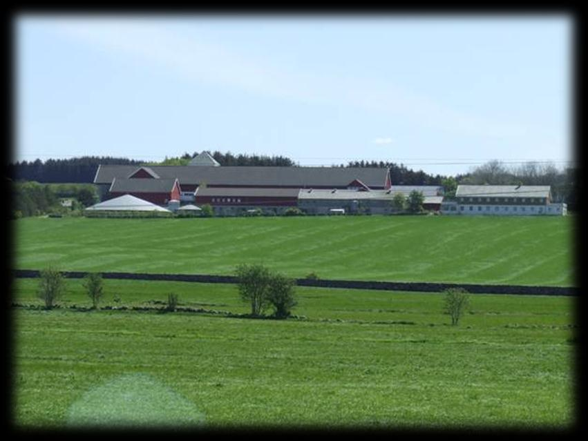 Biogass som del av landbrukets verdikjede (2008 2011) + Jordbruksavtalen Norges Bondelag, Bioforsk, UMB, Oslo EGE, Follo Ren, Tine, Biowaz AS, Norsk landbruksrådgivning.