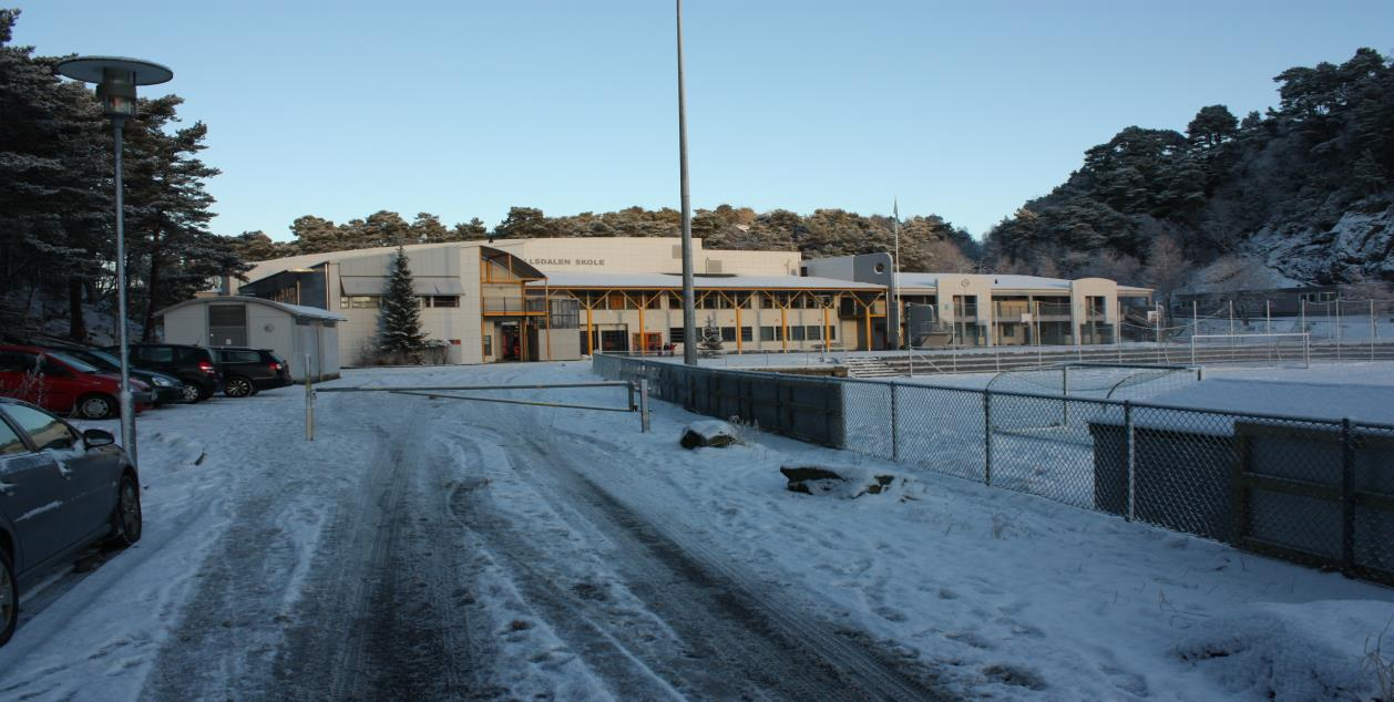 Fjellsdalen skole Strategisk plan 2012/2013-2015/2016