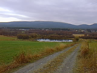 I Tynset har vi kartlagt flere dammer i kulturlandskapet. I Tylldalen er det registrert to; ved Rød og Fløtten, på Ulset er det registrert dammer ved Sæter- Storeng-Letan, Støeng, Botnan og Børlia.