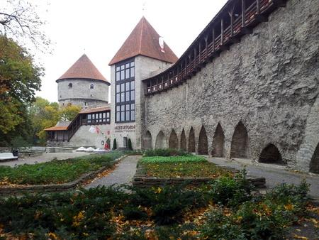 Vi starter fra Domberget og Ordensborgen - stedet hvor Tallinn ble grunnlagt.