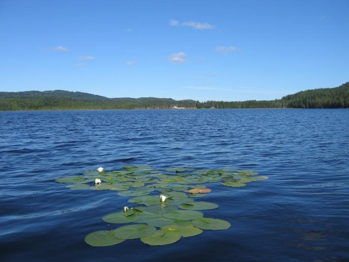 innsjøene Eidsmangen, Vålmangen og Åsnesmangen. Utløpselva Auståa samløper med Glomma ved Haugsjøen ca. 7 km nord for tettstedet Kirkenær.