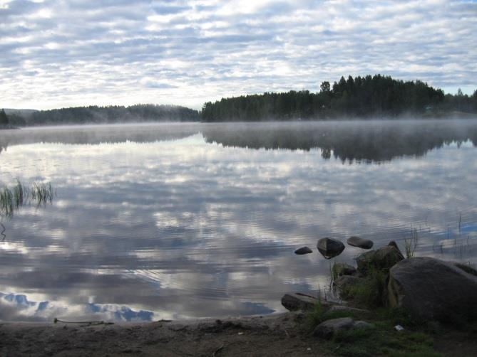 med høy konsentrasjon av humussyrer (farge 64-73 mg Pt/l) og relativt god alkalitet (0,092-0,105 mmol/l) (Kjellberg 2004). Sommeren 2006 var det en større skogbrann i området sør for Harasjøen.