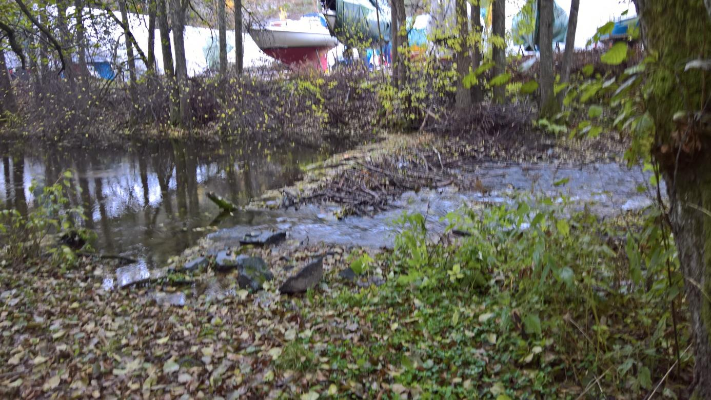 oktober Fiskesesongen Den forholdsvis tørre sommeren og høsten gjorde at forholdene for oppgang av fisk var nesten fraværende.