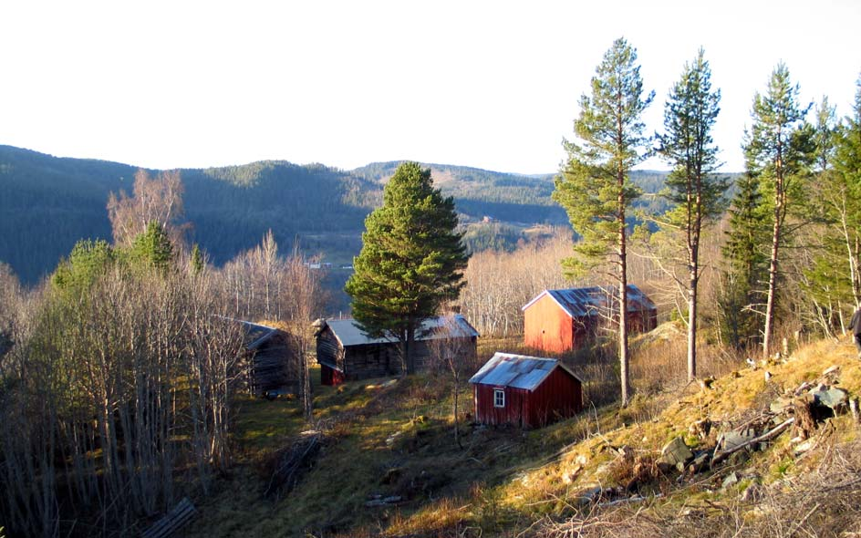 GAMLE HUS DA OG NÅ Småbruket Dulufløtten ligger høyt i lia over Gylløyan sør i Horg. Det var feriested også ved registreringen i 1988, og husene var nylig satt i stand.