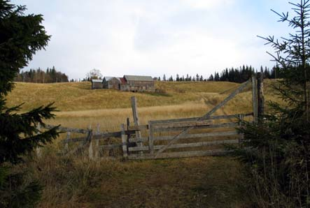 Romol er en av gårdene fra Melhus som nevnes i Snorres kongesagaer, og blir ofte referert til når bygdas historie skal presenteres.