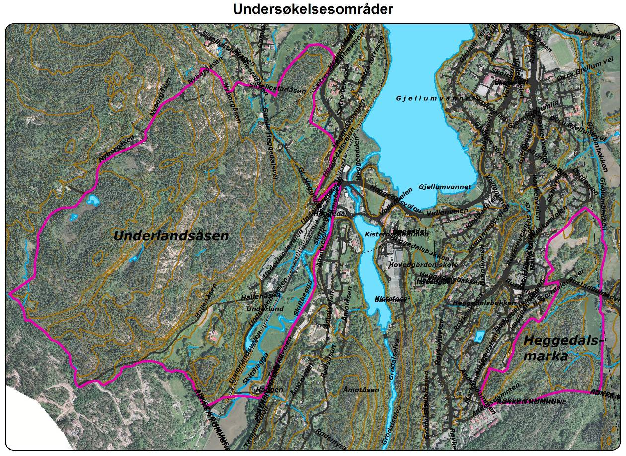 åkerholmer med lågurtvegetasjon. Innslaget av løvtrær er betydelig i store deler av området med en god del hassel, bjørk, ask, lønn, selje, rogn og gråor.