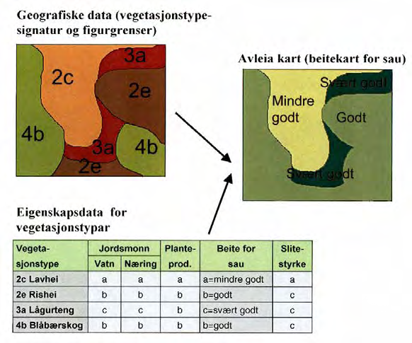 2.4 Bruk av vegetasjonskart Temakart: Informasjonen som ligg i vegetasjonskartet kan vera tungt tilgjengeleg utan botanisk og økologisk kunnskap.