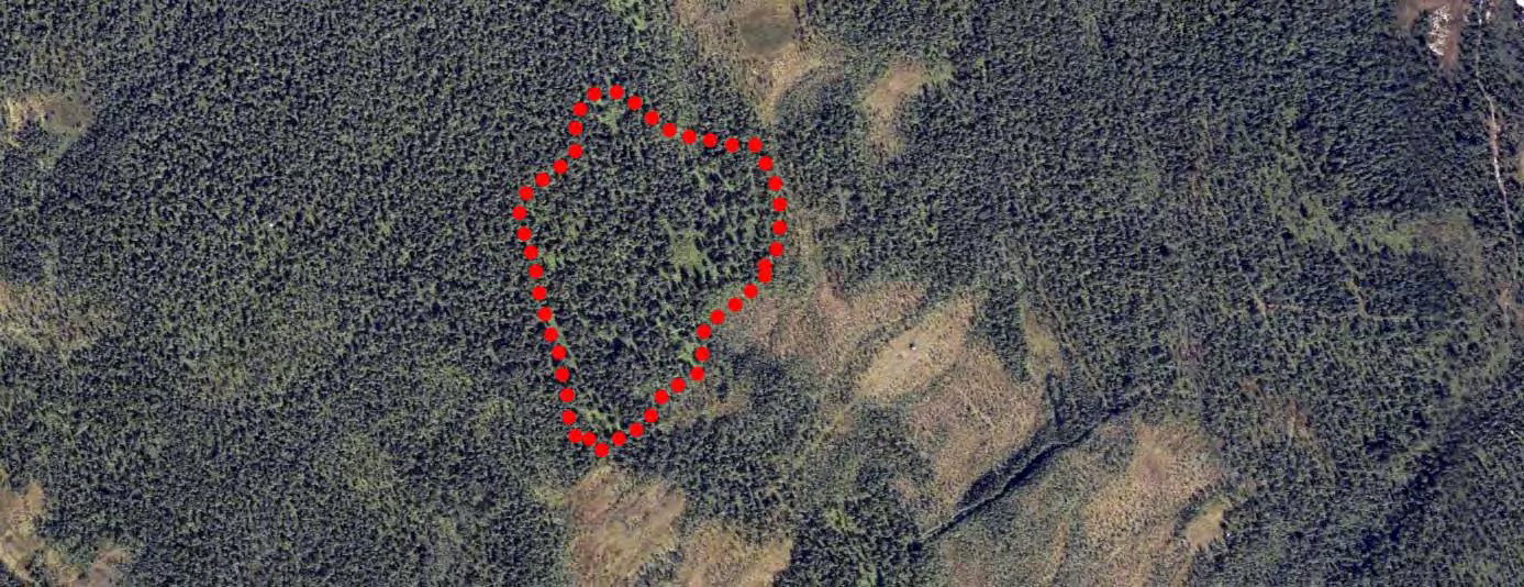 Det gamle slåttelandskapet visest enda i skogstrukturen i Åsenget (Kartgrunnlag GEOVEKST Løyvenr. GV-L-04). kontakt med jordvatnet og blir frodigare. I nord stig lia bratt opp mot skoggrensa.