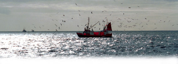 Alf Børjesson /Eksportutvalget for fisk Næringslivet i regionen Av de 30 største selskapene i Midt-Troms har 27 lokale eller regionale eiere.