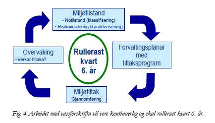 Forvaltningsplan m tiltaksprog V Karakterisering Klassifisering Regionalt overvakingsprogram Gjennomføre overvaking Økonomisk analyse Register over beskytta område Utarbeide lokale tiltaksanalysar